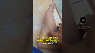 Suka kencing karna efek Anyang ayangen begini solusinya #tips #sehat #terapi #herbal #edukasi