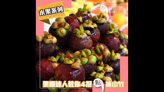 【點食‧水果系列】達人教你用4招學懂點揀清甜山竹！