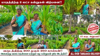 தென்னையில் அதிக லாபம் பெற !! வருடத்திற்கு 250 முதல் 300 வரை| Pasumai Bhommi Part 1