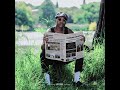 Swane Kimbo & Arsenics Mzet -Thumel'ithombe (Audio)