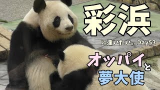 アドベンチャーワールド🐼彩浜🌈オッパイと夢大使🚥【彩浜に逢いたい。Day53 2019/09/21】