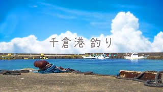 千葉県房総半島 南房総 千倉港 じぐサビキ釣り