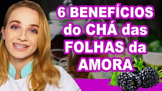 6 Benefícios do CHÁ DE AMORA para Saúde e Boa Forma! Como Tomar, Receitas e Dicas