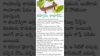 Health Tip 153 Camphor Benefits కర్పూరం వల్ల ఉపయోగాలు #shorts #healthylifestyle #telugu #health