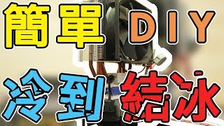 【DIY】分享小資魚缸降溫│致冷晶片│水冷系統│消暑神器│How to Make Aquarium Water Cooler