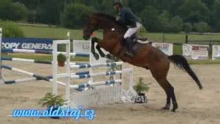 JUMPER/EQ FOR SALE: Athos, 2008, Armando B x Roy Boy, 1.25m class 06 16