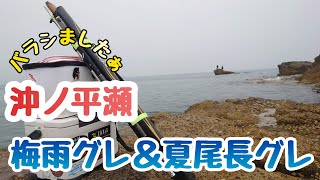 梅雨グレ夏尾長グレを求めて、伊王島沖磯の平瀬へ行ってきました～