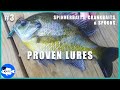 How to Catch Big Bluegill & Other Common Sunfishes | Method 3 of 5