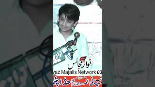 zakir syed shabhih ul hassan shamsi shorts video 2023 #youtubeshort #islamicvideos #nawazmajalislive