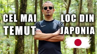 PĂDUREA AOKIGAHARA din JAPONIA - Cei care intră aici DISPAR PENTRU TOTDEAUNA!