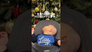 クリスマスツリーに夢中な5ヶ月ベビー👶🏻🎄 #shorts #クリスマスツリー #生後5ヶ月 #赤ちゃん #赤ちゃんのいる生活 #可愛い #育児 #ベビー #癒し動画 #育児記録