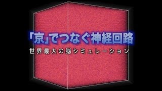 [ScienceNews2013]「京」でつなぐ神経回路　世界最大の脳シミュレーション