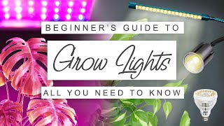 Easy Beginner's Guide To Grow Lights For Houseplants 💡 GROW LIGHT 101 🌱 Why, Whe