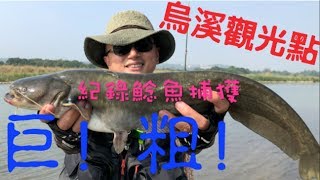 波爸釣魚趣-烏溪巨鯰第二季 (台灣/路亞/溪釣/捲仔/何氏棘魞/鯰魚/Catfish) (201811)