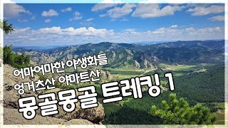 야생화가 환장적인 초원의 나라 몽골 트레킹  2/4 엉거츠산 야마트산/10.5km