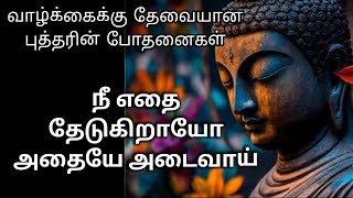 #buddhamotivational #buddhaquotesonlife #buddhaquotesintamil எதை தேடுகிறாயோ அதையே அடைவாய்