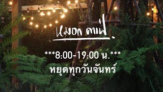 #หมอกคาเฟ่ ร้านกาแฟบรรยากาศน่าลุ่มหลง นั่งจิบกาแฟกลางดงหมอก เกษตรนวมินทร์ตัดใหม่