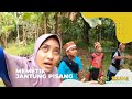 Memetik Jantung Pisang | SI BOLANG (23/01/23)