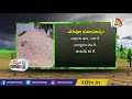 రబీ వరిలో ఎరువుల యాజమాన్యం cultivation techniques of paddy in rabi season matti manishi 10tv