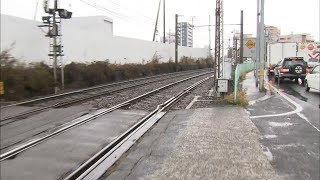 高松市中心部でイノシシの目撃相次ぐ　線路内に3頭…商店街でも　けが人なし