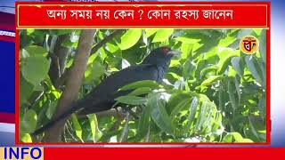 শুধু বসন্তকালে কেন কোকিল ডাকে? অন্য সময় নয় কেন ? কোন রহস্য জানেন