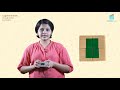 cognitive development with colours preschool learning videos