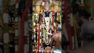 அத்தி வரதர் நின்ற கோலத்தில் இந்த வருடத்தின் கடைசி தீப ஆராதனை காட்சி!