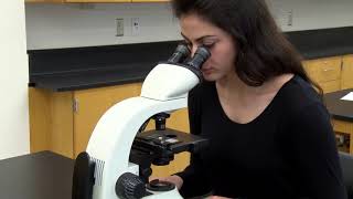 BIOLOGY 10 - Basic Microscope Setup and Use