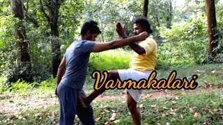 kalaripayattu/ varmakalari Ep309/ vital point techniques/Vinayan gurukkal.