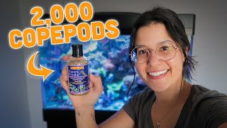 Adding COPEPODS to ALL My Reef Tanks