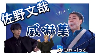 【OWV】佐野文哉威嚇集🐱