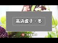 ・虚子・冬【サイレント俳句集】