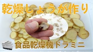 [しょうがの乾燥]野菜乾燥機（ドラミニ）