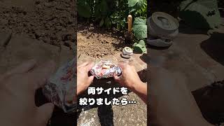 エノキ豚バラホイル焼き