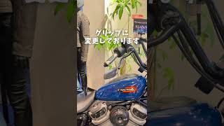 カスタムナイトスタースペシャル紹介動画 #automobile #ハーレーダビッドソン #クリスマス