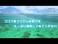 【グアム日産レンタカー🚗】グアムの離島ココス島！絶対に行きたいオススメ観光スポット