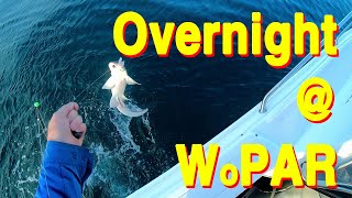 Overnight at West Peel Artificial Reef