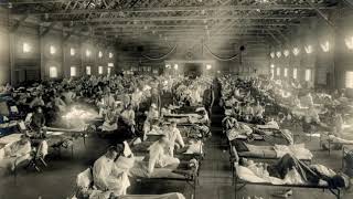 1918 flu pandemic | Wikipedia audio article