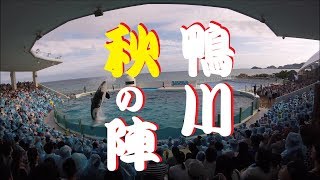 鴨川シーワールド２０１８　シャチパフォーマンス３１６　GoProで鴨川、秋の陣を４Ｋで撮ってみた　killer whale show