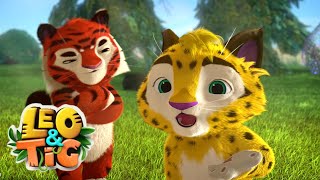 Leo and Tig 🦁 Hero story 🐯 Funny Family Good Animated Cartoon for Kids