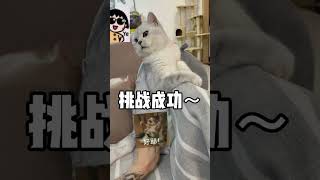 好家伙，最后大胖这是在减肥嘛#shorts