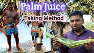 Palm juice Taking Method |பதநீர் மற்றும் கள்ளு எடுக்கும் நேரடி வீடியோ காட்சி | नीरा कैसे निकालते हैं