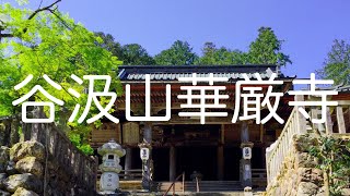 新緑眩しい【谷汲山華厳寺】GW前の静かな参道