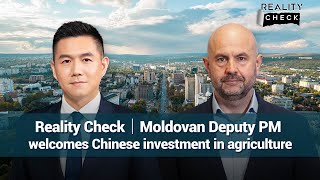 Reality Check: Moldovan Deputy PM welcomes Chinese investment in agriculture