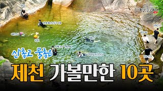 제천 가볼만한 여행지 10곳을 추천합니다. #비봉산 #청풍호 #제천여행 #의림지