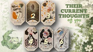 Their Current Thoughts of You 💭 | 🌿 Tarot • Pick a Card Reading 🌟