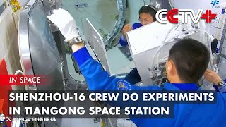 Shenzhou-16 Crew Do Experiments in Tiangong Space Station