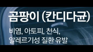 에코파워 16탄 심의필증 있는 연료 절감기 보셨나요?  여기 있어요!  연료20~30%매연40~80%감소! 곰팡이균살균99.9%  7in 1기능! 효과 보장! 02 537 2462