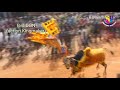 hosur jallikattu bvs ntr highlight performance