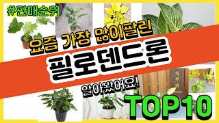 필로덴드론 추천 판매순위 Top10 || 가격 평점 후기 비교